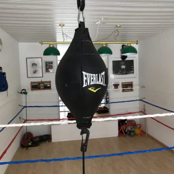 Everlast Double End Bag
